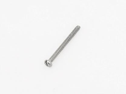 M1x10 Screw