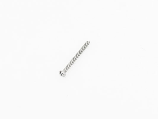 M1x10 Screw